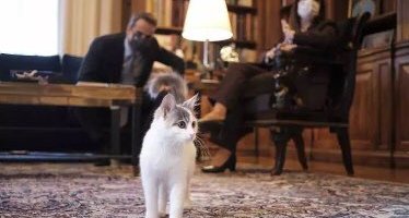 «Δεν ξέρεις την Καλυψώ;»: Ο Μητσοτάκης γνώρισε τη γάτα της Σακελλαροπούλου